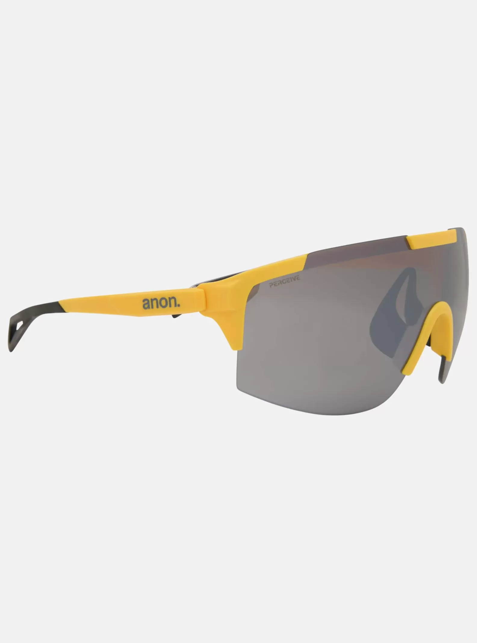 Burton Anon Winderness Sunglasses