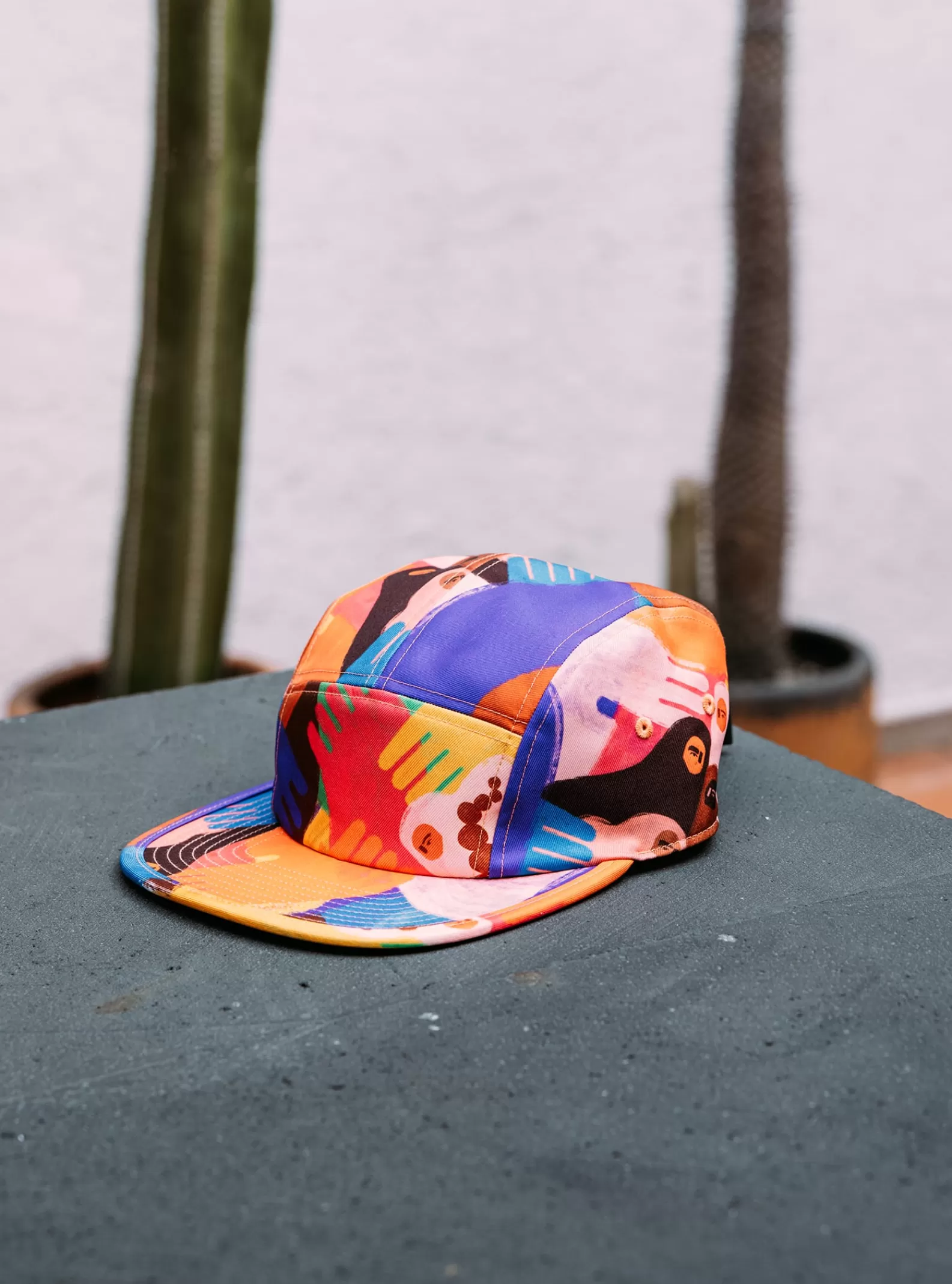 Burton Artist Series Cap